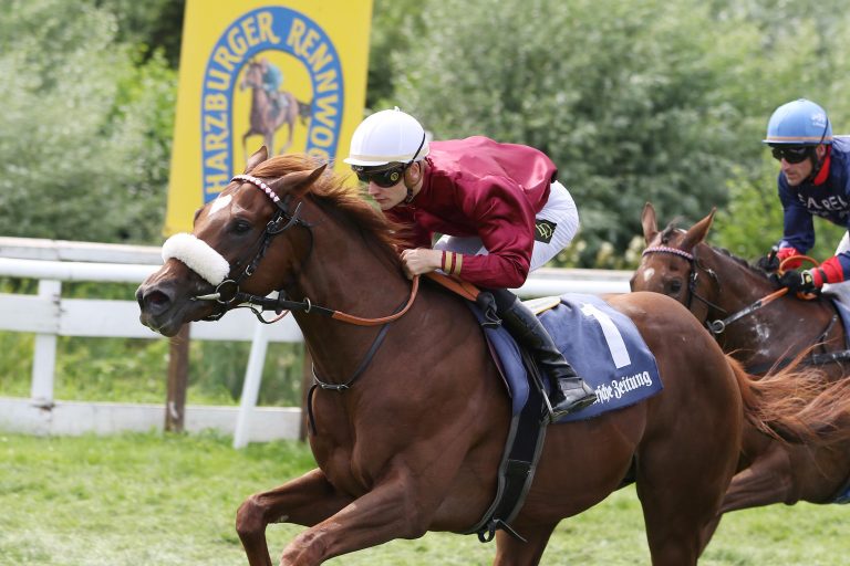 Was „Höhle der Löwen“ mit Rennsport zu tun hat