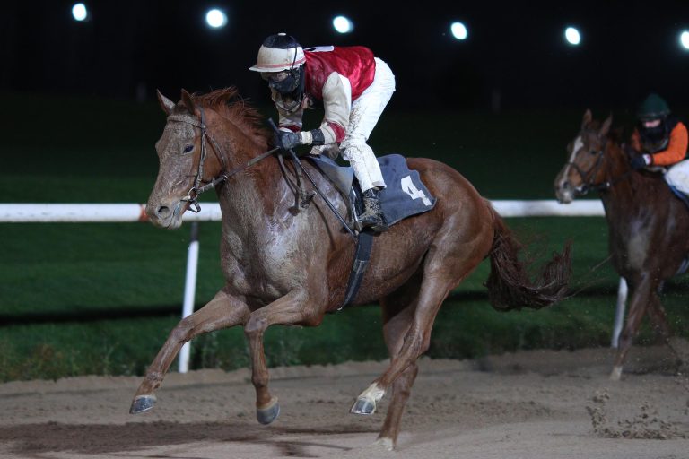 Quantum of Solace erster Sieger im Jahr 2016