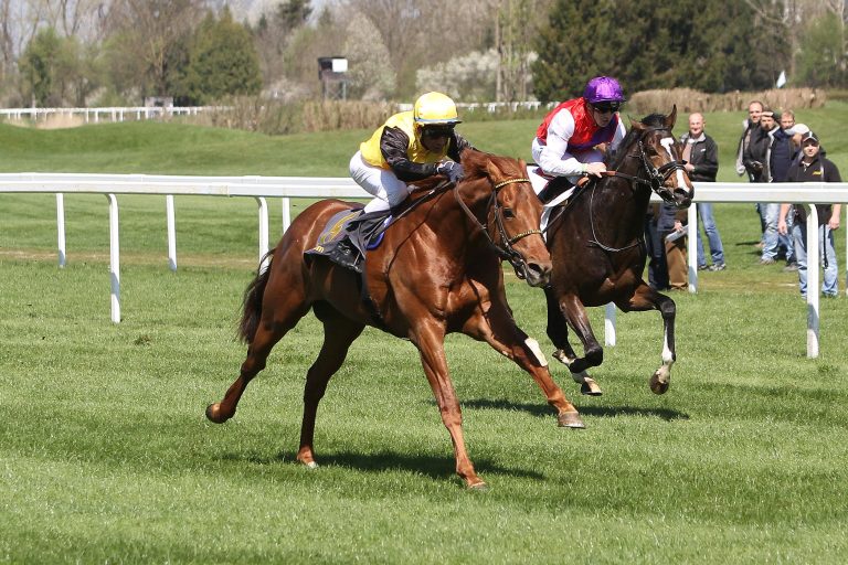 Derby-Favorit Quasillo nun direkt nach Hamburg