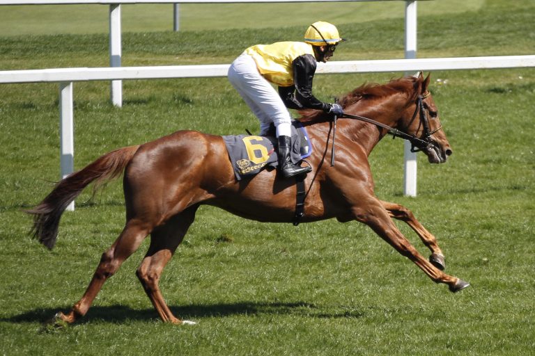 Bitter: Ex-Derbyfavorit Quasillo fällt doch länger aus