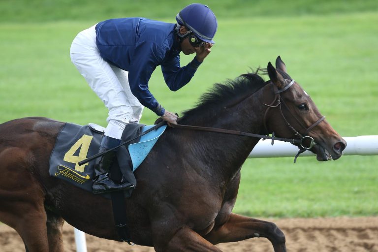 100 Prozent Moser und Starke-Sieg zum Abschied