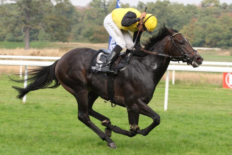 Championat für Fährhofer Querari