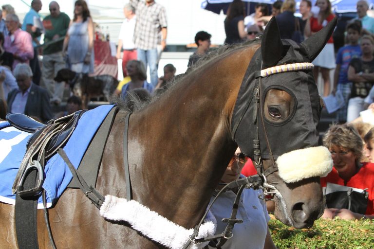 Defi du Galop: Quidamo und Narrow Hill starten in Craon