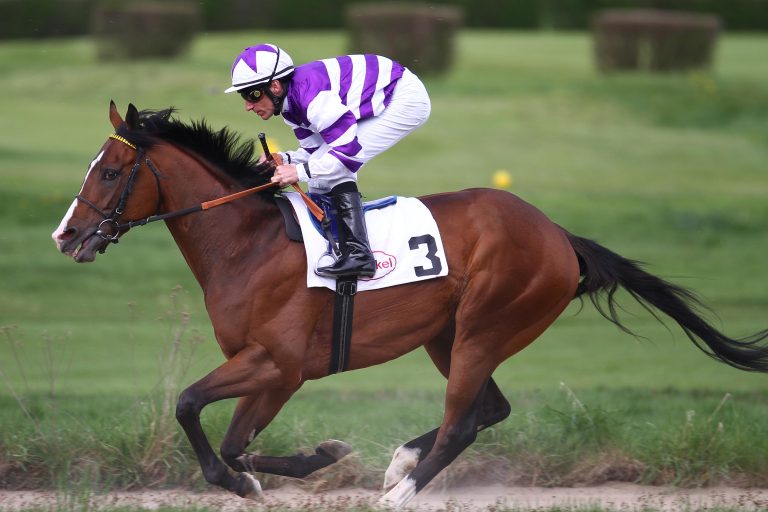 Drei deutsche Siege auf zwei französischen Bahnen