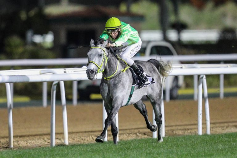 Hameem Foto: emiratesracing.com