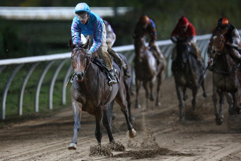 70,8:1-Chance Rainmaker macht im Schnee alle nass!