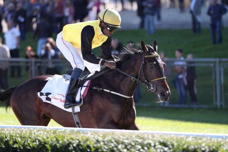 „Pferd der Herzen“ wird Freizeit-Partner