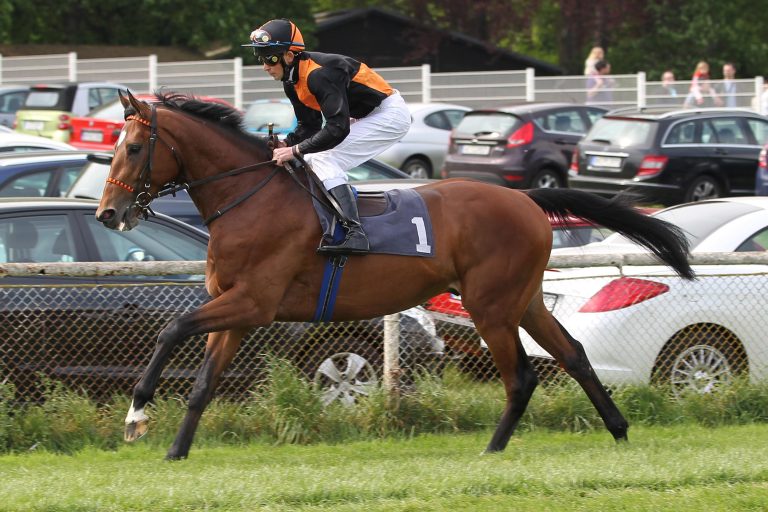 Rapido-Start erneut gerichtlich untersagt