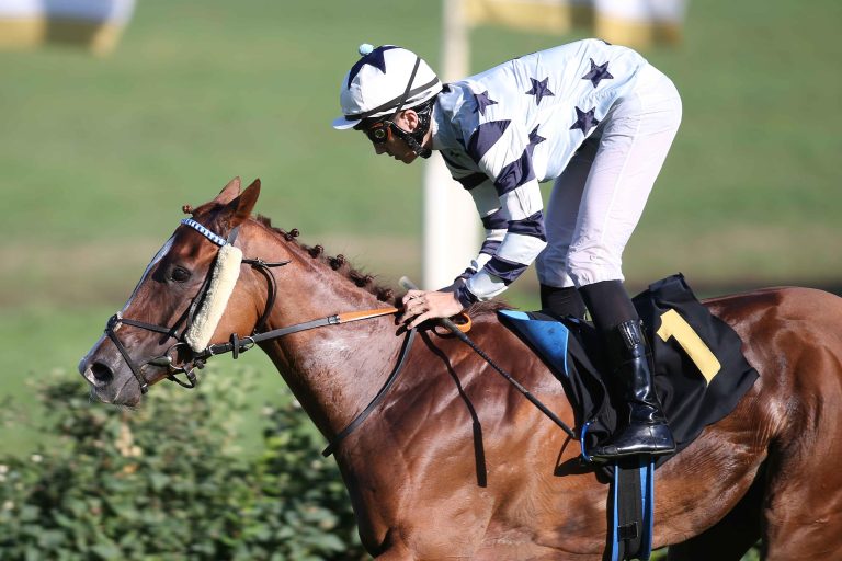 Verkaufsrennen-Test in Frankreich: Neue Zulassung