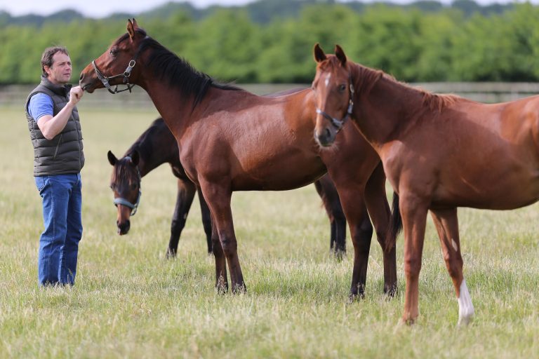 Weitere Rauscher-Verkäufe bei Tattersalls