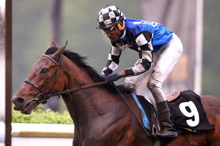 Jetzt in die USA? Große Ziele mit Red Cardinal