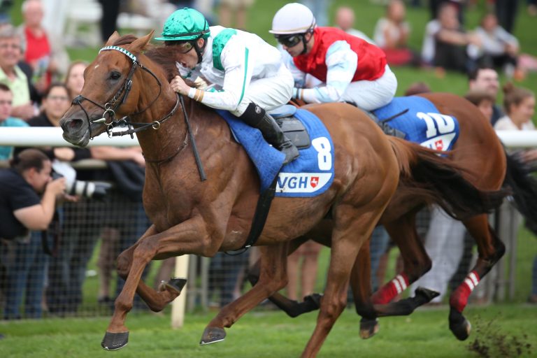 Treffen der Top-Meiler: Amaron fordert Red Dubawi