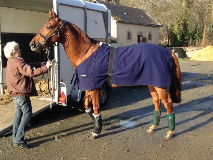 red_dubawi_ankunft_2