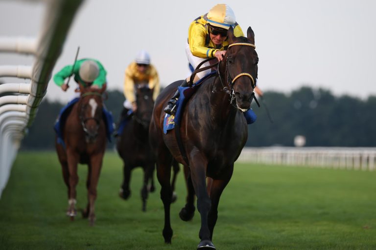 Deutscher Totoschocker in Lignieres