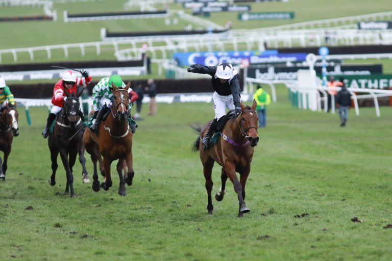 Mullins 1-2-3 im „Champion Bumper“ – Walsh im Pech