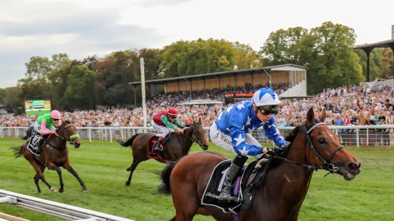 Wett-Check zum Europa-Renntag