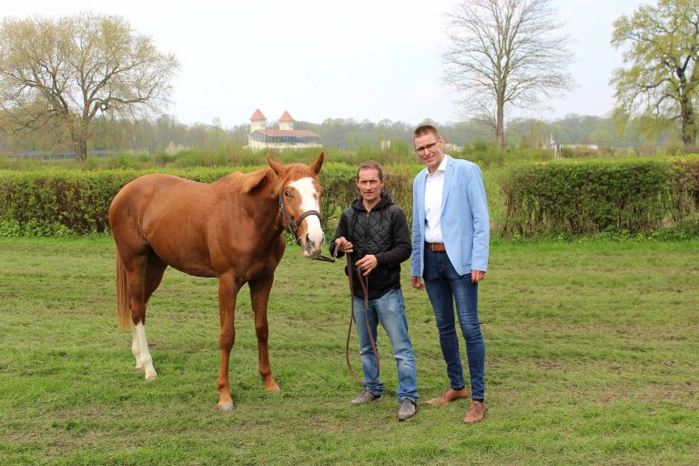 „Rote Bullen“ im Leipziger Scheibenholz