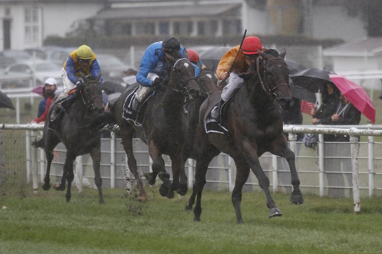 Bolte und Starke weiter in Topform