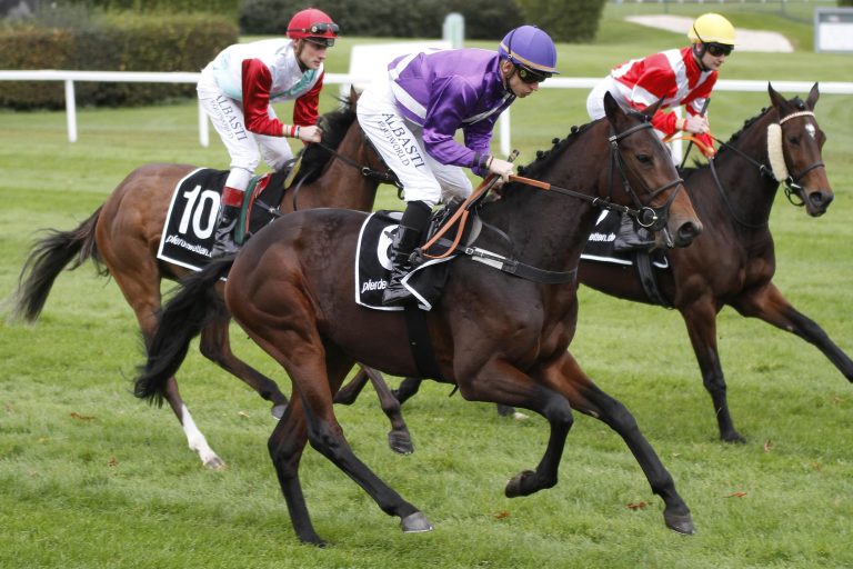 Richelieu nicht im Großen Preis von St. Moritz