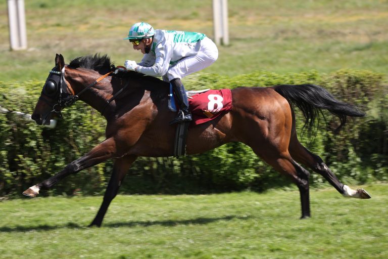 Rip Van Lips deckt ab 2025 bei Ralf Paulick