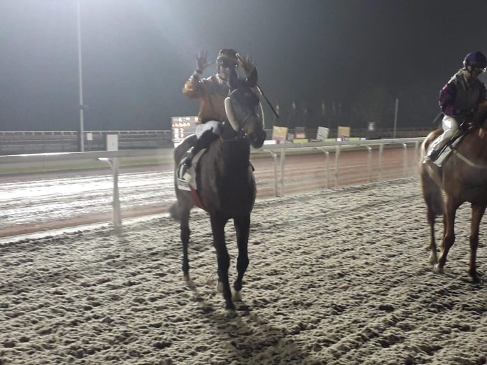 robin_weber_wisperwind