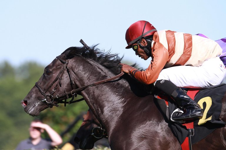 Rock of Romance: Zweiter Versuch im Leger Italiano