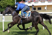 Hofers Rock your Life in den Schweizer 1000 Guineas