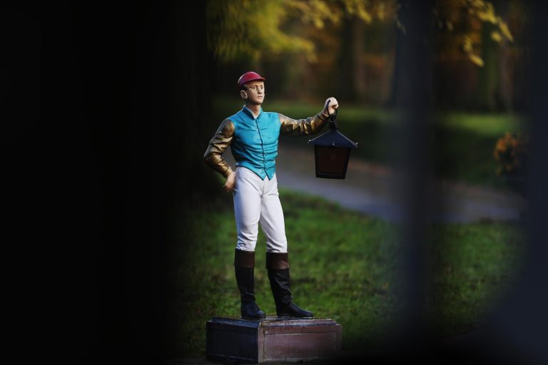 Sonntag, 17 Uhr: Digital-Premiere des Züchtertreffs