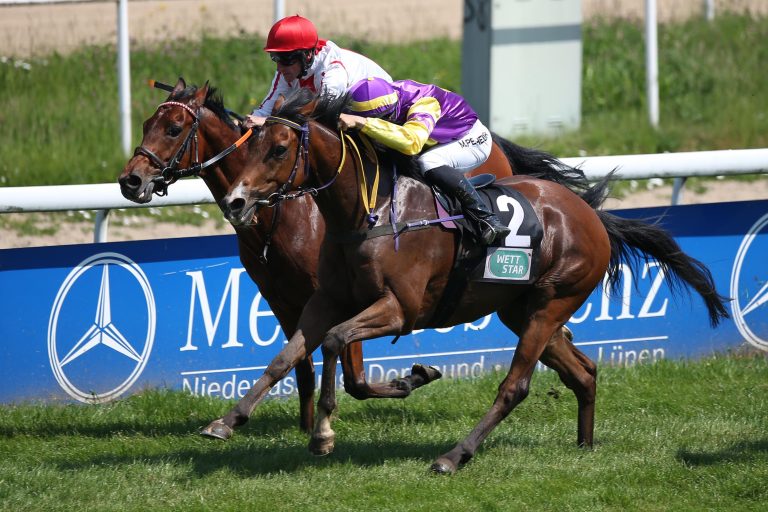 Von wegen Pechzahl – Beim 13. Start klappts für „Roi“