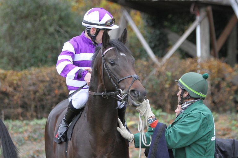 Rolando stellt Fabre-Hengst zum Kampf