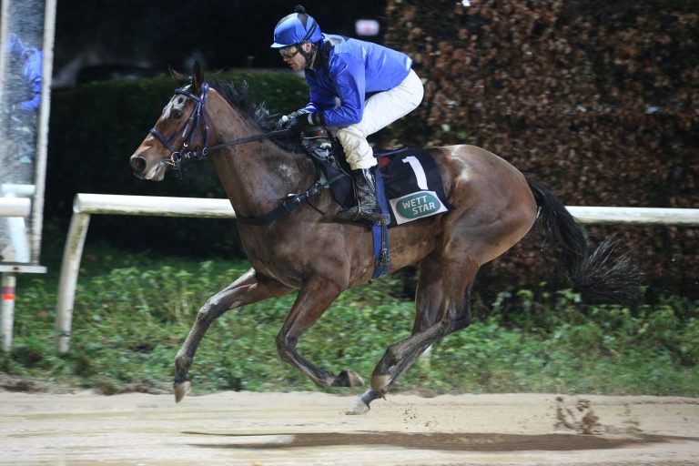 Romantic Angel (Archiv)