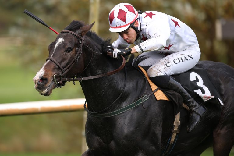 Rosenkönig im Schwedischen Champion Hurdle