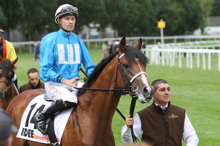 Rosenpurpur in der Quarantäne