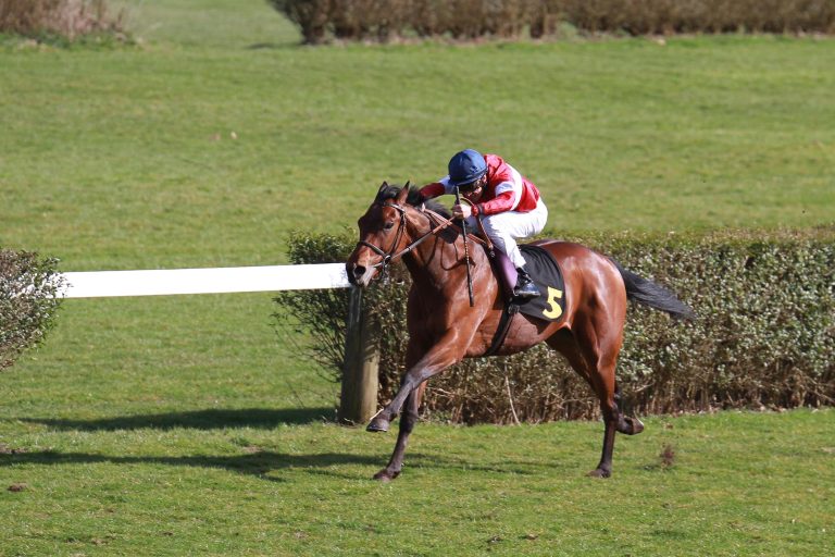 Schiergen und de Vries sicher: Platz zwei war drin