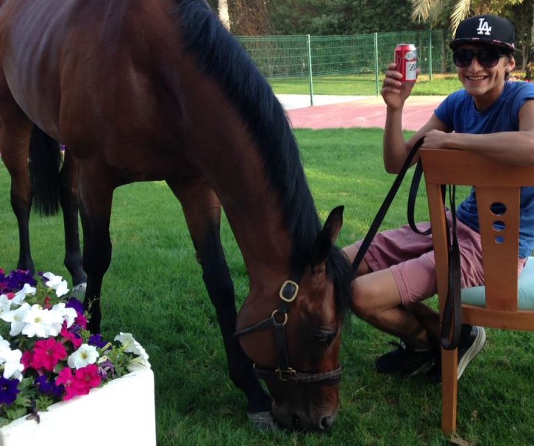 Ross wieder starker Zweiter in Burj Nahaar Stakes