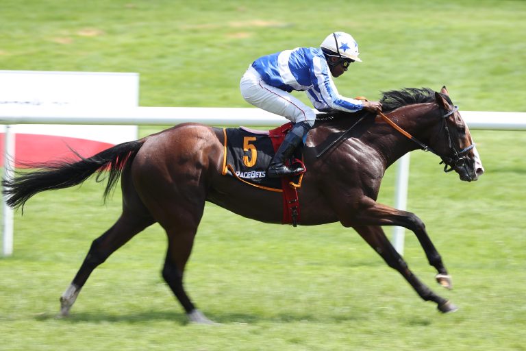 Royal Youmzain im Stil eines echten Derby-Favoriten