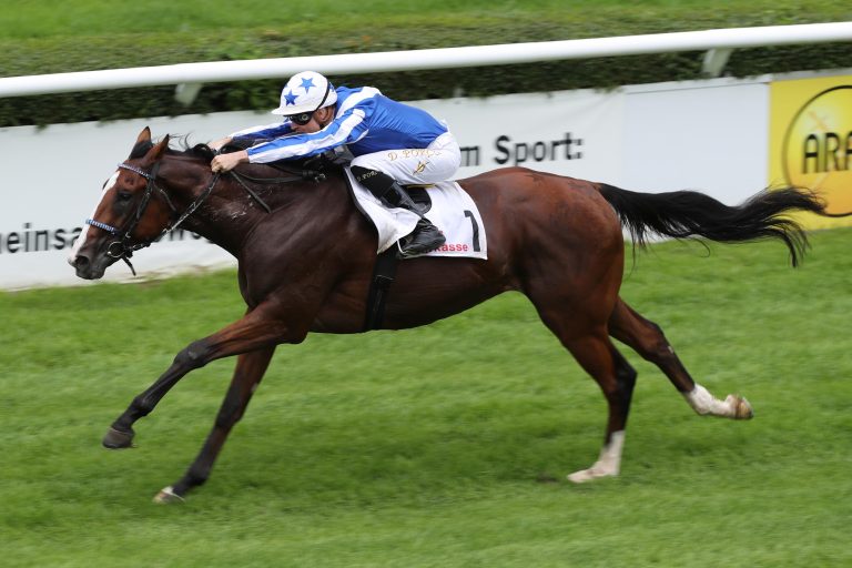 Royal Youmzain im Prix Niel gegen sechs Gegner