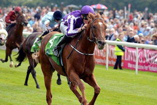 Großes Gr. 1-Wochenende auf den Inseln