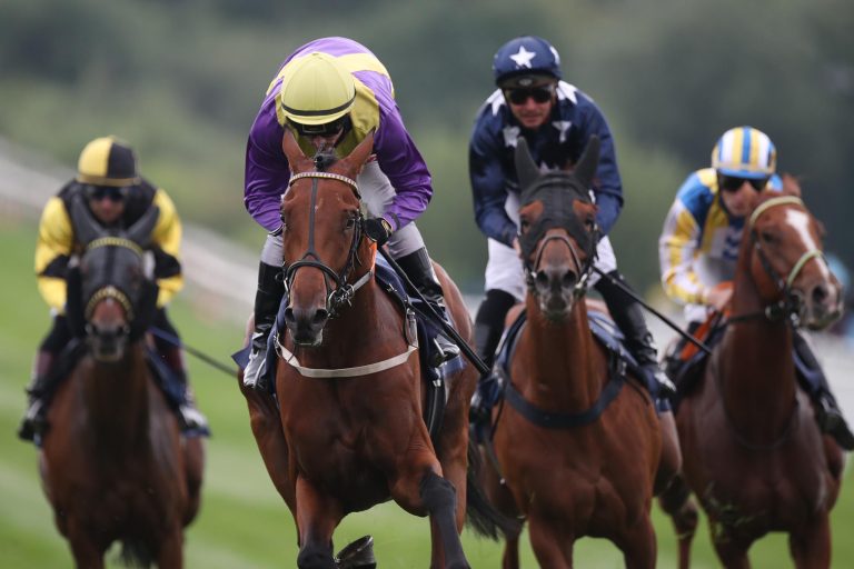 Noch eine Hausnummer – Sieger für Tres Rock Danon