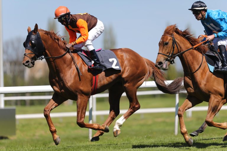Darboven ohne Starter im Deutschen Derby