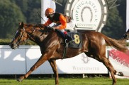 Hoppegarten:  Russian Tango topp Cutlass Bay flopp