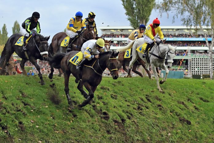 s10_charm_look_sorge