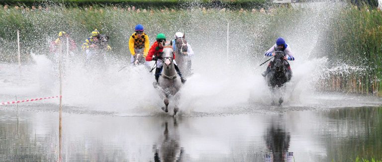 Nuevo Leon wie 2014 im Artländer See vorne?