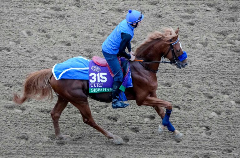 Sisfahan vor dem Breeders‘ Cup – „Es passt alles“