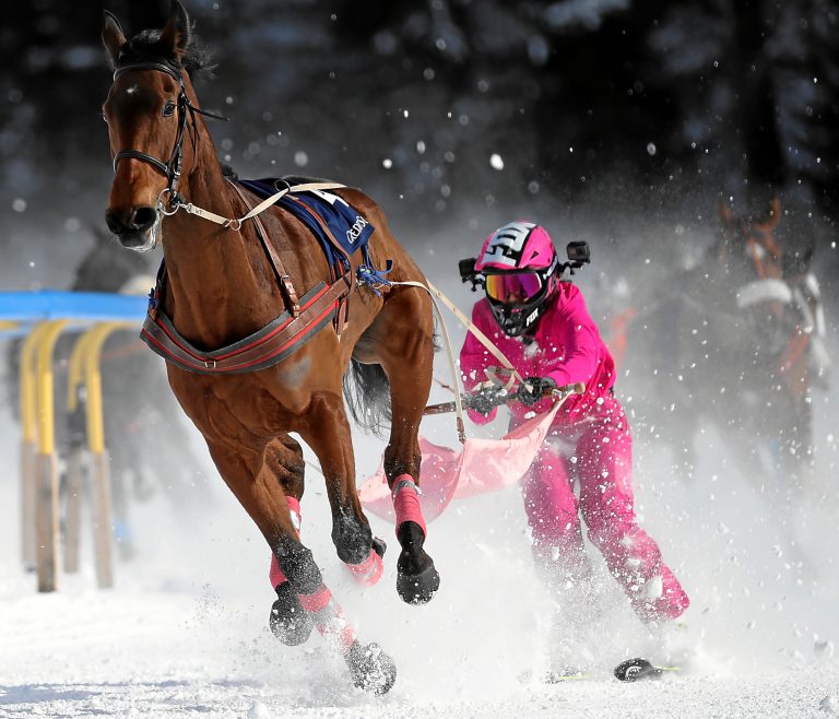 Elf deutsche Pferde für ersten St. Moritz-Renntag genannt