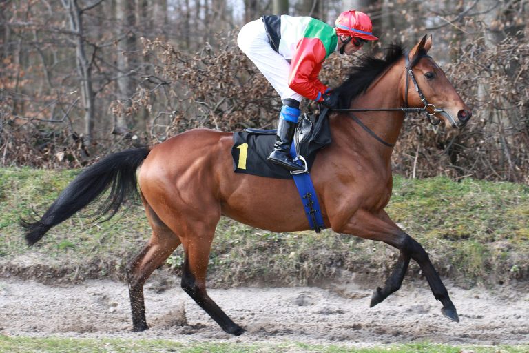 Köln lädt zum ersten After Work-Renntag
