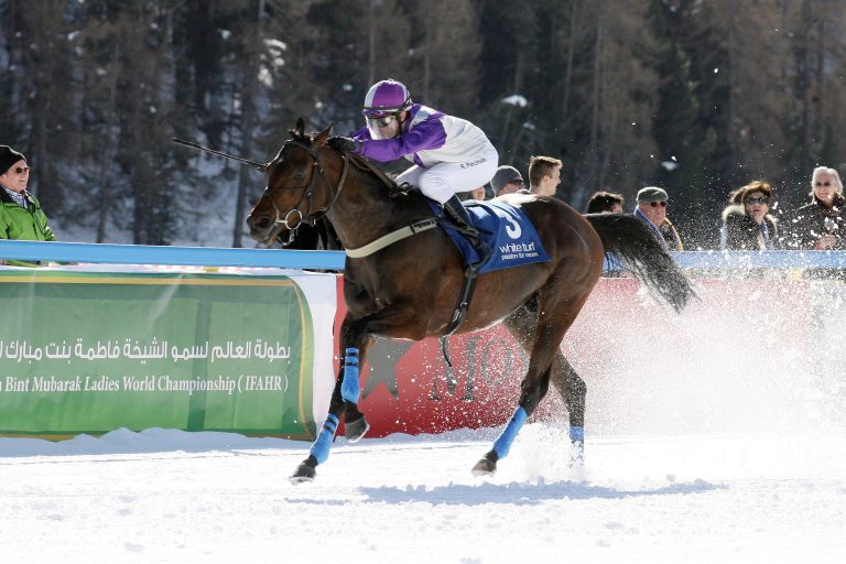 Jungleboogie tanzt nach Frankreich