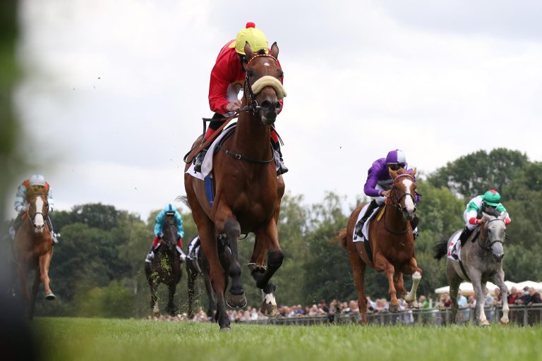 Millionaire gilt als Favorit