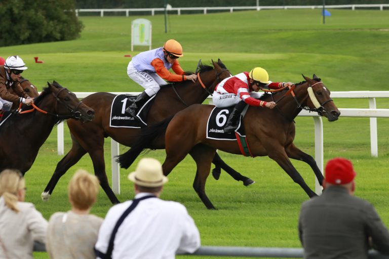 Auktionsrennen zum Finale der Gras-Saison in Wambel