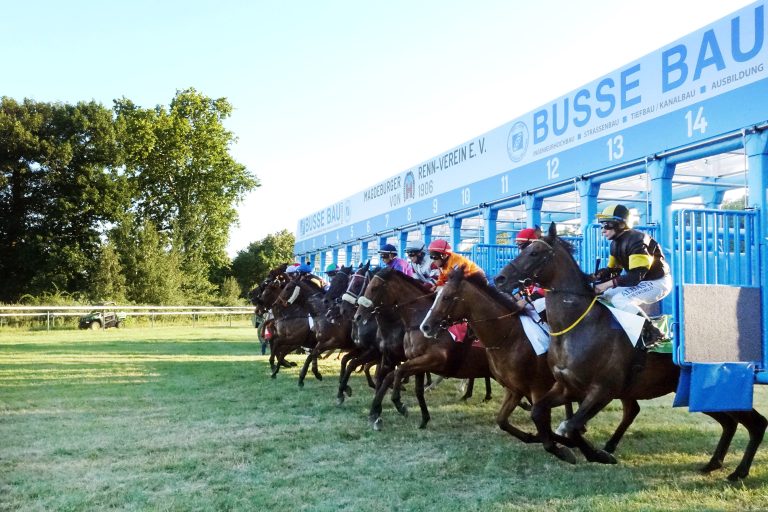 Sport-Welt TV Wett-Check: heute in Magdeburg